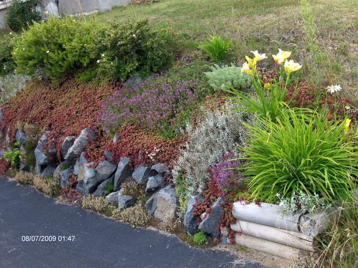 Flower Garden Ideas With Rocks 25+ best rock wall gardens ideas on pinterest | rock wall, garden Flower Garden Ideas With Rocks 25+ best rock wall gardens ideas on pinterest | rock wall, garden