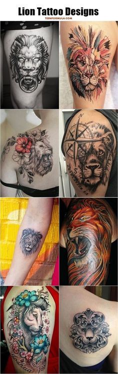 best 25 lion tattoo design ideas on pinterest mens lion tattoo best 25 lion tattoo design ideas on pinterest mens lion tattoo