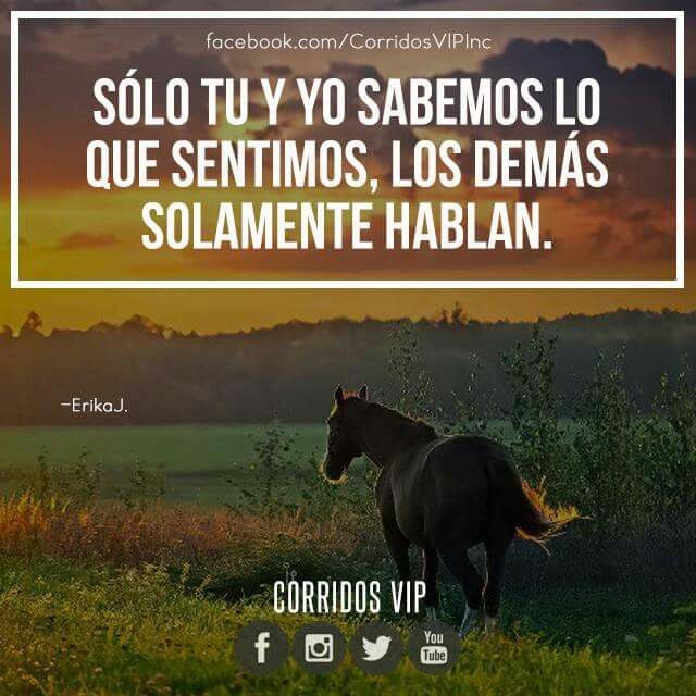 Pin on FRASES CHINGONAS