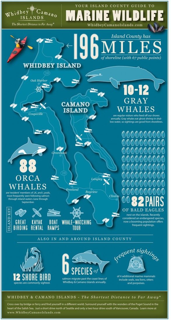 Pacific Northwest Oregon Washington and Alaska National Geographics Driving Guides to America