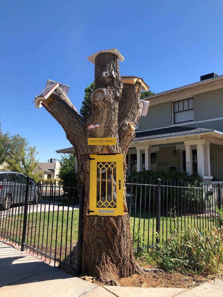 When this beloved tree in El Paso, TX was ready for its next life, it