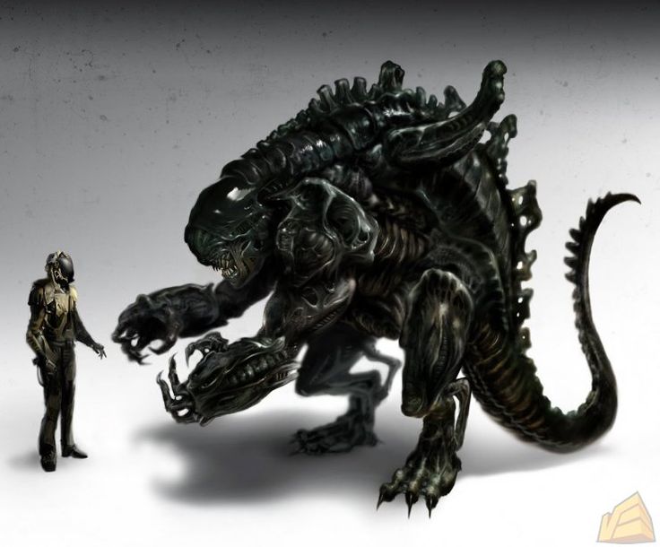 217 Best Xenomorphs Images On Pinterest Aliens, Science Fiction - 736x610 - jpeg Xenomorph Carrier