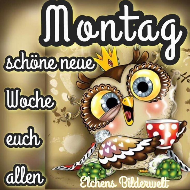 Schönen montag bilder kostenlos
