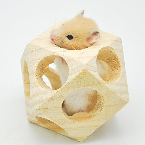 Interactive Dog Toy For Toddler Interactive Dog Toy For Toddler