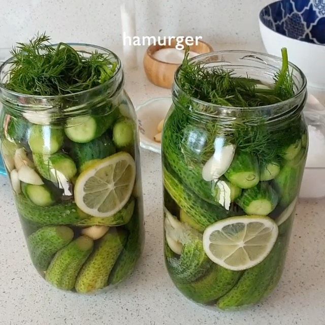 Hanaa Cook On Instagram لعشاق مخلل الخيار Hamurger Hamurger Hamurger المقادير 1 كيلو خيار صغير 2 كوب صغي Christmas Sweets Cucumber Pickles