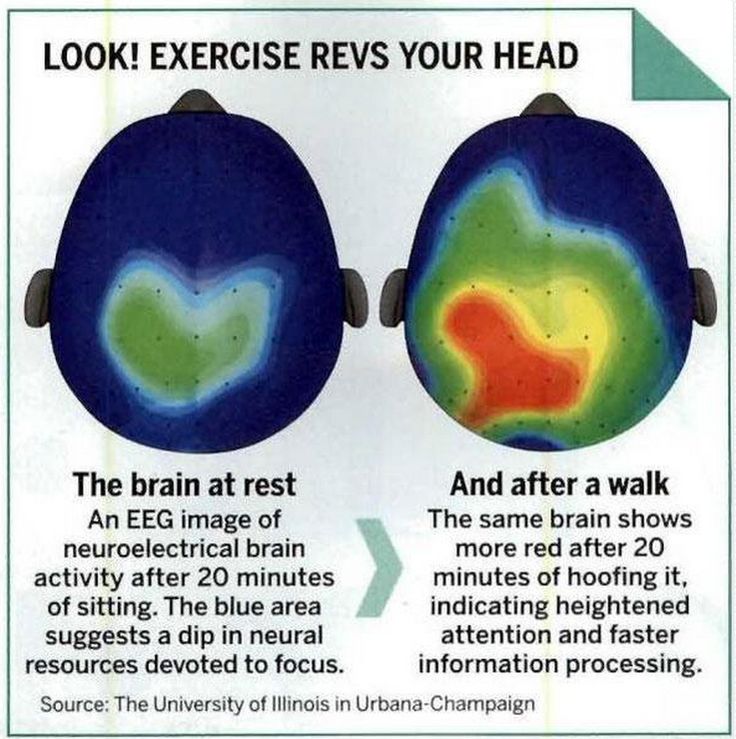 brain and child development