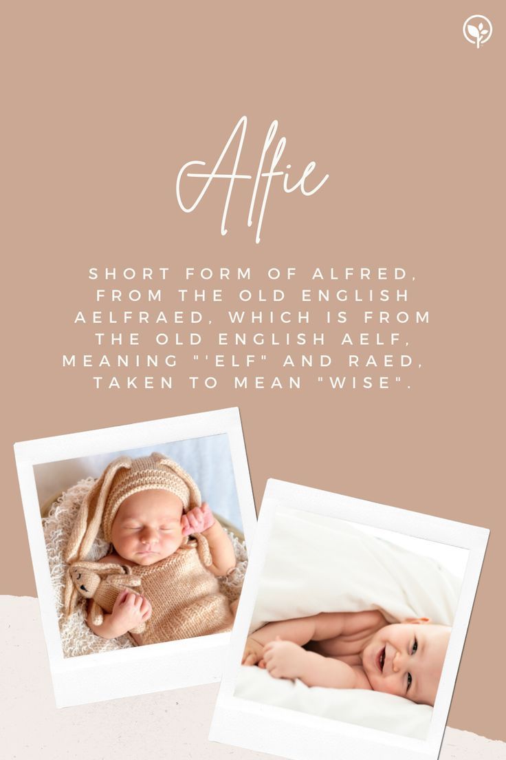Alfie: Meaning, Origin, and Famous Namesakes