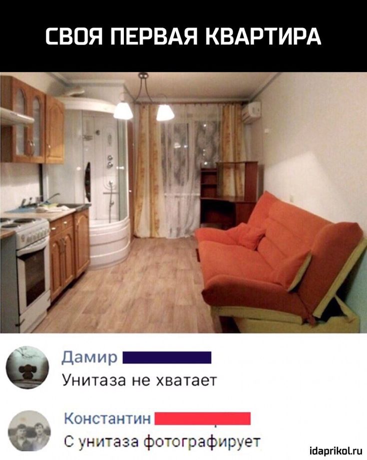 смешные картинки квартира студия встречается каждого десятого