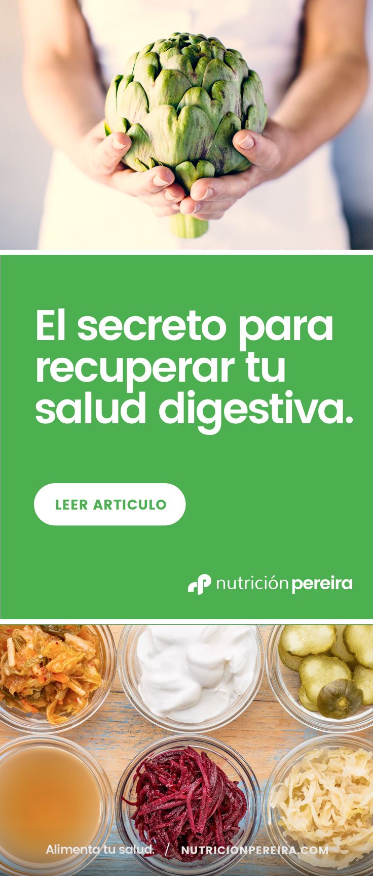 Probioticos para recuperar flora intestinal