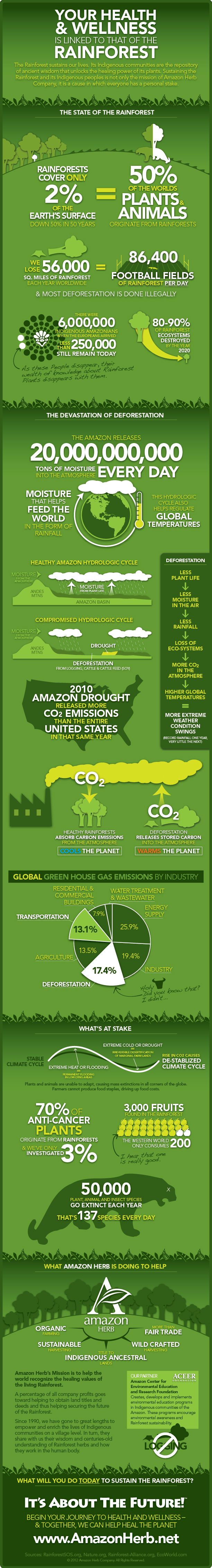 environment of the amazon rainforest The amazon rainforest climate on average is like that of any other typical tropical rainforest it is hot and humid the temperatures are around 28°celcius for the entire year which gets compounded due to the heavy humidity. environment of the amazon rainforest The amazon rainforest climate on average is like that of any other typical tropical rainforest it is hot and humid the temperatures are around 28°celcius for the entire year which gets compounded due to the heavy humidity.