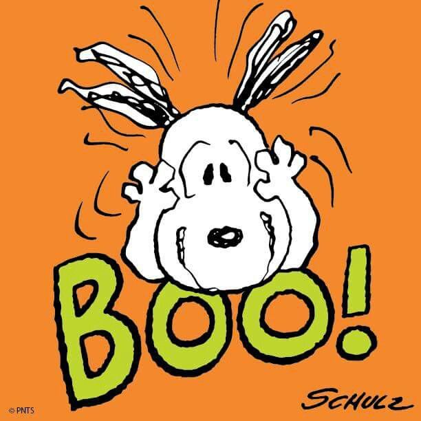 boo charlie brown peanutsthe peanutspeanuts snoopypeanuts halloweenholidays - Charlie Brown Halloween Cartoon boo charlie brown peanutsthe peanutspeanuts snoopypeanuts halloweenholidays - Charlie Brown Halloween Cartoon
