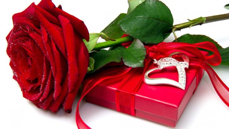 Nice Red Rose Box - Best Wallpaper HD 4 Nice Red Rose Box - Best Wallpaper HD 4