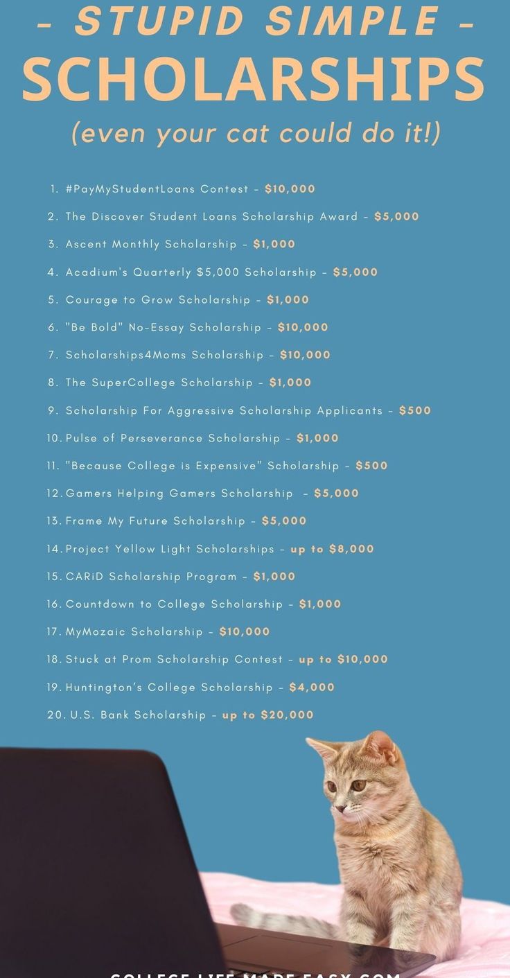 No Essay Scholarships - blogger.com