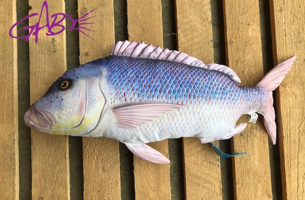 Dentex | Novelty pillows, Cushions on Sturgeon | Fish pillow, Weird gifts, My