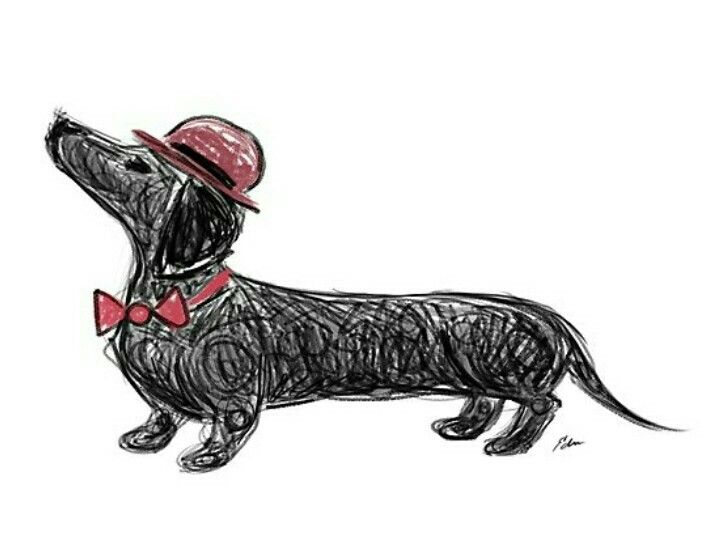 Dachshund Dachshunds Dachshund Drawing Dachshund Dog
