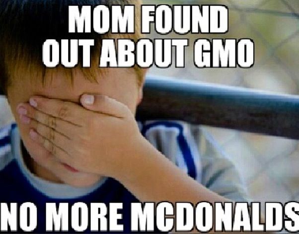 38 best the anti gmo movement images on pinterest eat healthy af6c2cd58a8db39e18d0d3eb19a2abe6 kid memes funny memes 38 best the anti gmo movement images on pinterest eat healthy