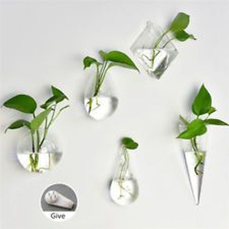 46 stunning small planters ideas to maximize your interior design pimphomee hanging plants glass planter vases pot rope