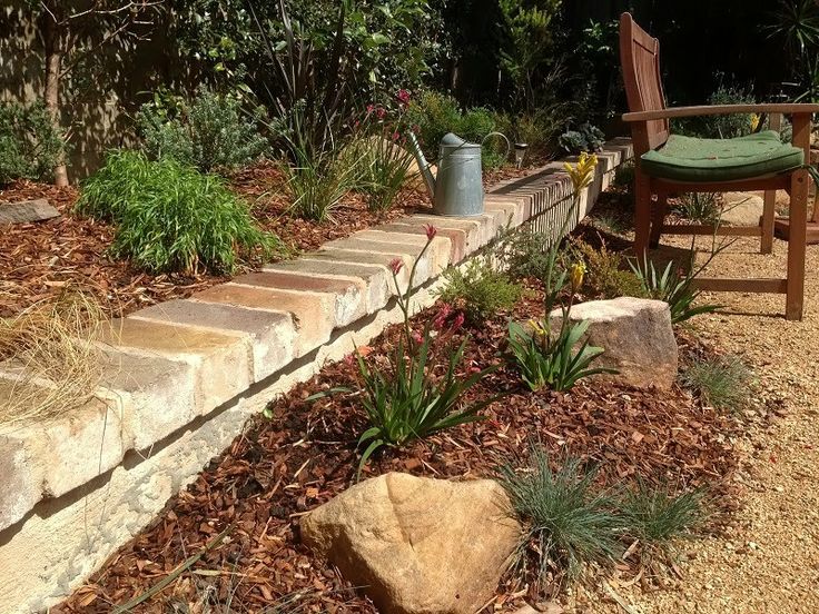 Garden Design Australia australian native courtyard garden - landscapers sydney Garden Design Australia australian native courtyard garden - landscapers sydney