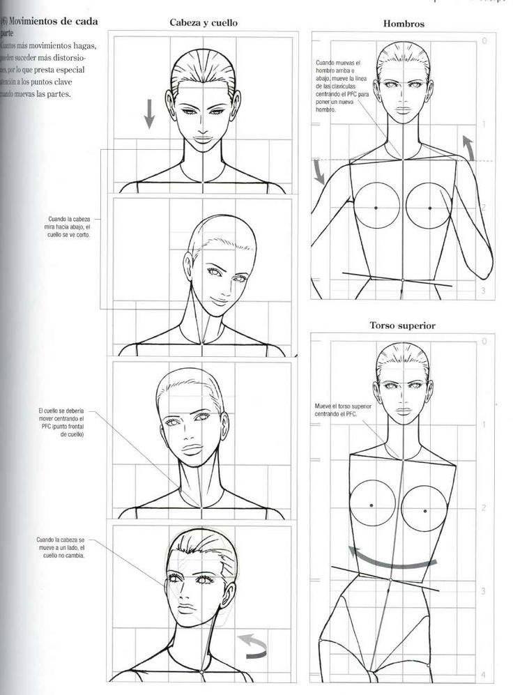 Libro De Dise U00f1o De Moda En 2020