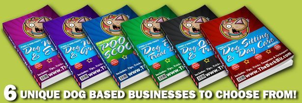 How To Start A Dog Walking Business As A Kid How To Start A Dog Walking Business As A Kid