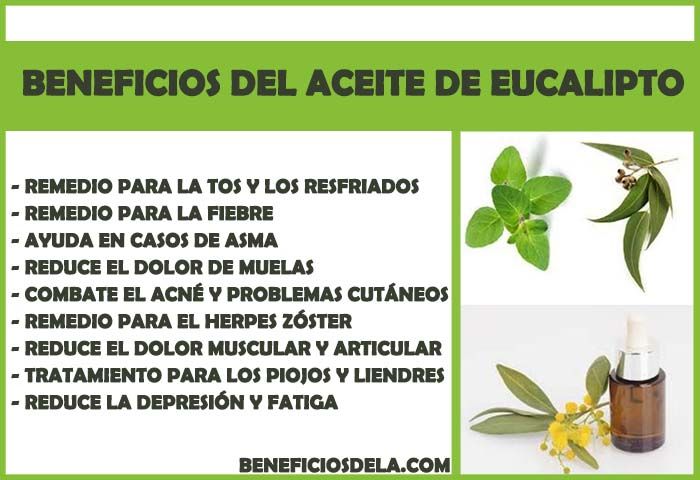 Arbol de te herpes zoster