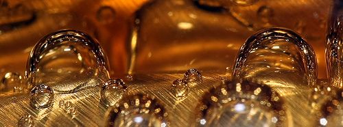 Best Lenses For Large Nature Shots Best Lenses For Large Nature Shots