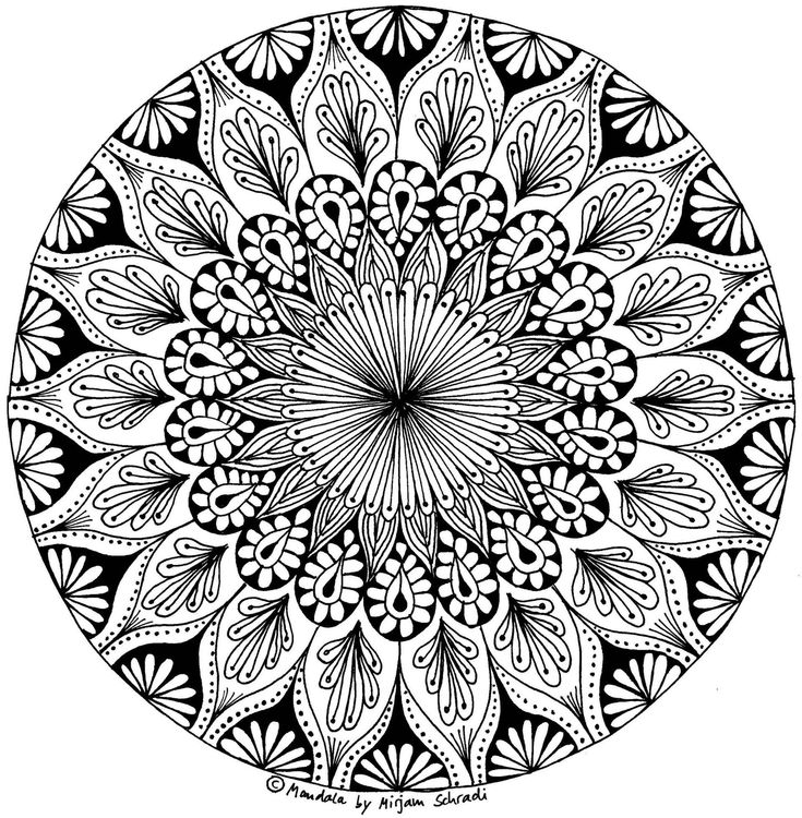 Die Besten Von Papagei Mandala Ausmalbilder Zum Ausdrucken Parrot Mandala Coloring Of Malvorl Mandalas Zum Ausdrucken Ausmalbilder Zum Ausdrucken Ausmalbilder