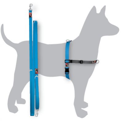Black Dog Balance Harness Training Pack Black Dog Balance Harness Training Pack