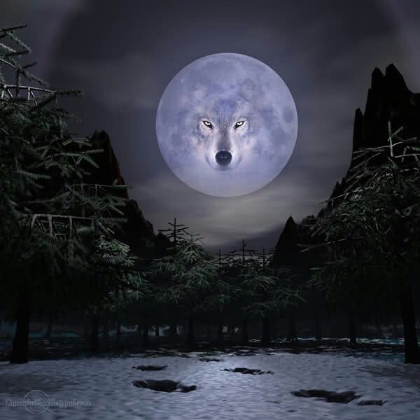 Related image