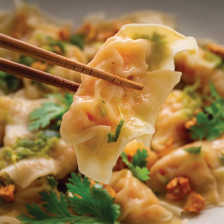 Asian cooking chinese food recipes