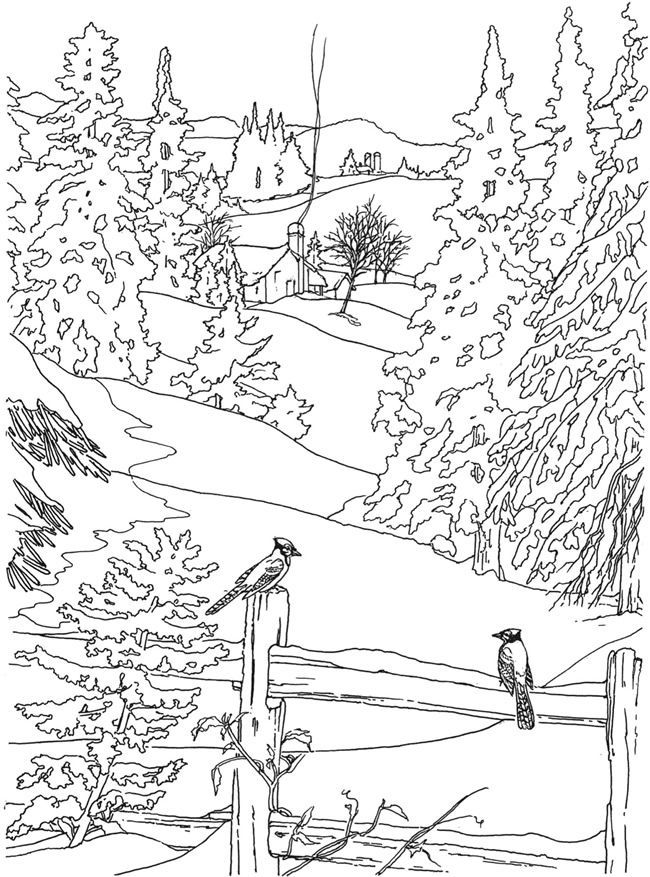 2196 best colouring images on pinterest coloring books vintage
