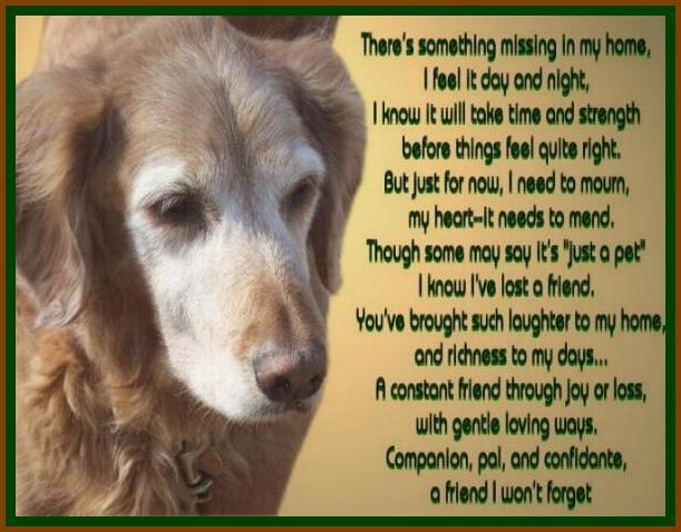 He S Just My Dog Poem He S Just My Dog Poem