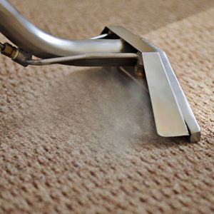 carpet cleaning ipswich queensland