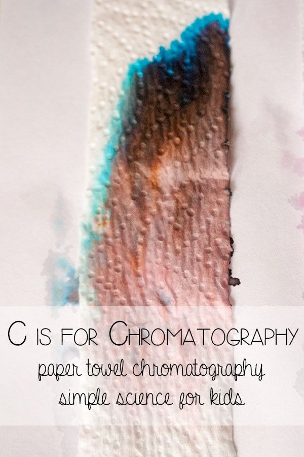 Simple Kitchen Experiments best 10+ chromatography for kids ideas on pinterest | steam works Simple Kitchen Experiments best 10+ chromatography for kids ideas on pinterest | steam works