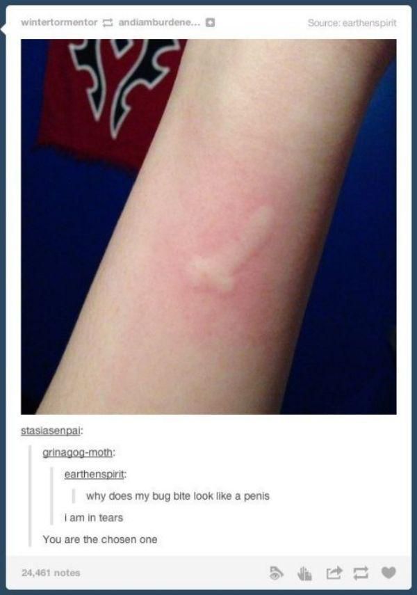 The Things You Find On Tumblr 37 Photos The Things You Find On Tumblr 37 Photos