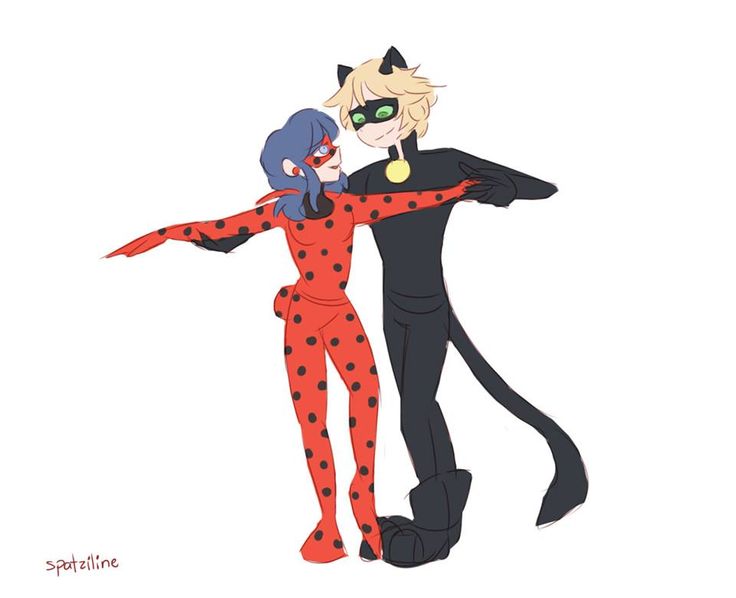 Chat noir x ladybug doinshi