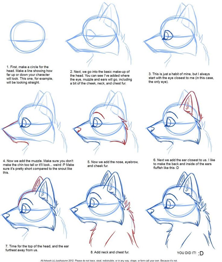 draw wolf furries for beginners together with deviantart how to draw canine heads together with anime wolf puppy furthermore how to draw anthro dragon also