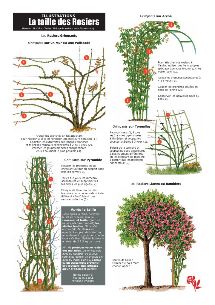 448 best just a garden images on Pinterest Potager garden, Small - comment fabriquer un composteur exterieur 448 best just a garden images on Pinterest Potager garden, Small - comment fabriquer un composteur exterieur