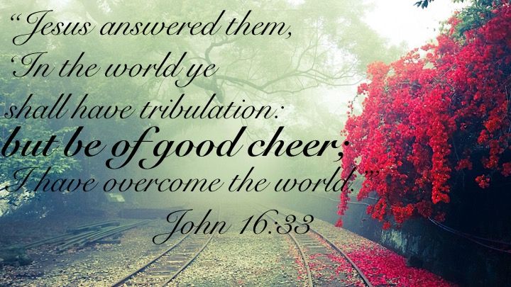 Pin on Bible Verses KJV