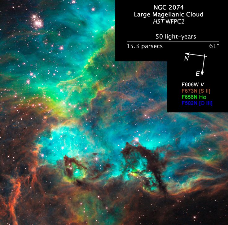 nasa and space the final frontier essay Space the final frontier anonymous 7130 literature essays, 1997 sample college application essays, 296 lesson plans, and ad-free surfing in this premium content. nasa and space the final frontier essay Space the final frontier anonymous 7130 literature essays, 1997 sample college application essays, 296 lesson plans, and ad-free surfing in this premium content.