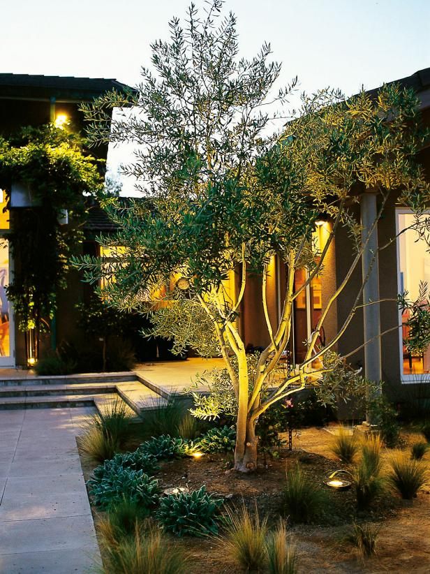explore landscape lighting tips and learn about landscape lighting design and installation from the experts at - Outdoor Lighting Design Ideas explore landscape lighting tips and learn about landscape lighting design and installation from the experts at - Outdoor Lighting Design Ideas