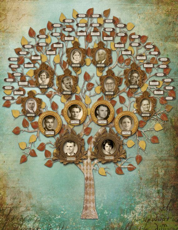 27 Best Creative Family Tree Genealogy And Family Trees Images On Pinterest Family Trees At Family Tree For Your Design