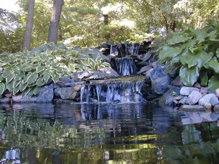 58 best water gardens images on pinterest | water garden, garden 58 best water gardens images on pinterest | water garden, garden