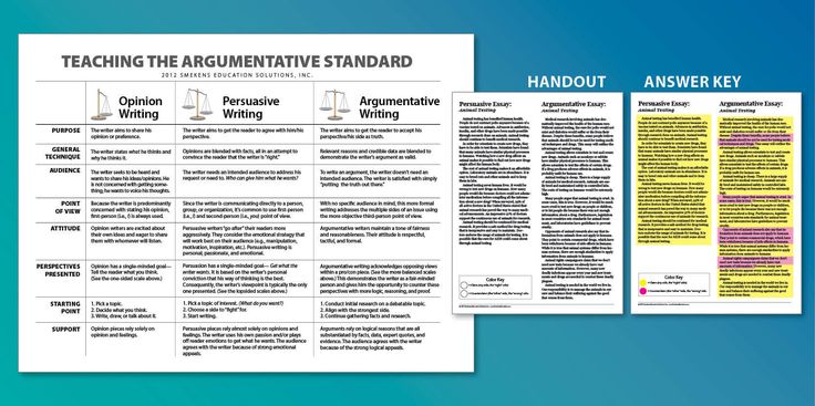 Argumentative techniques essay