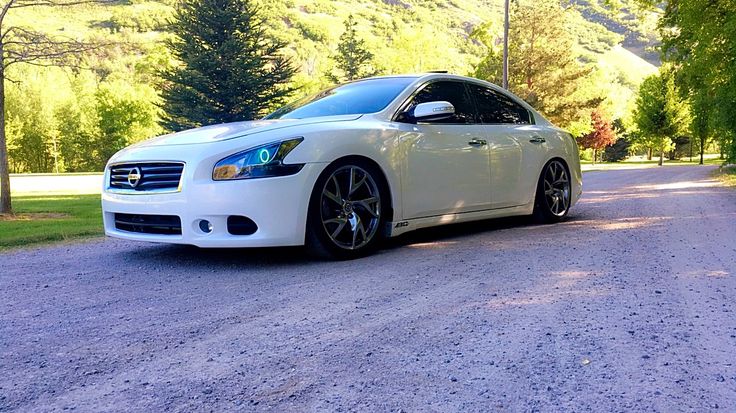 Pin by Anthony Olayo on 7th gen maxima | Nissan maxima, Nissan, Sports car