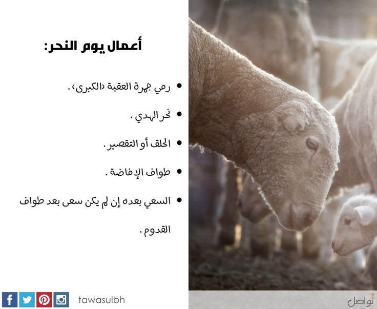 Pin On عشر ذي الحجة