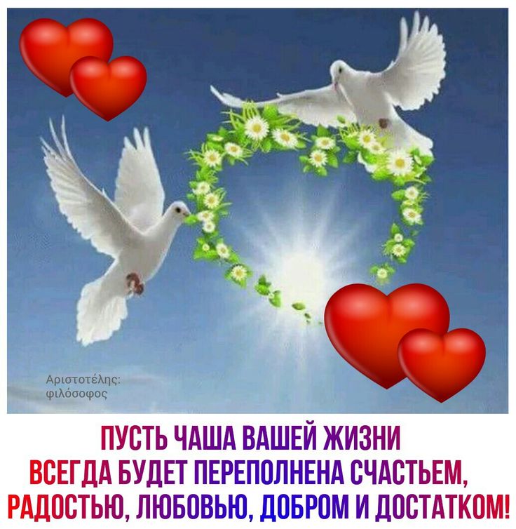 С никахом поздравления картинки на русском, открытки днем рождения