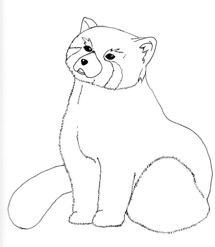 cute panda coloring pages httpfreecoloring pagesorgcute