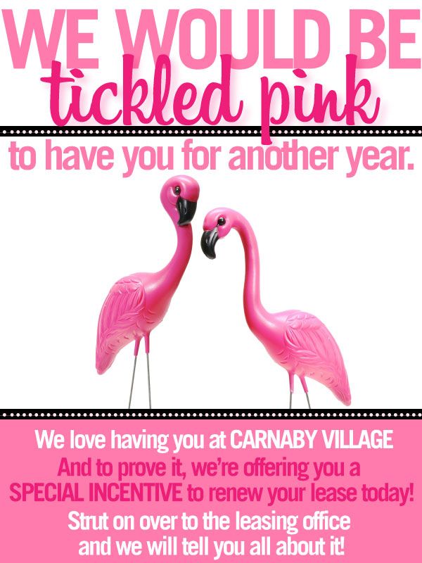 Best 25+ Resident retention ideas on Pinterest Themed gift - lease renewal letter Best 25+ Resident retention ideas on Pinterest Themed gift - lease renewal letter