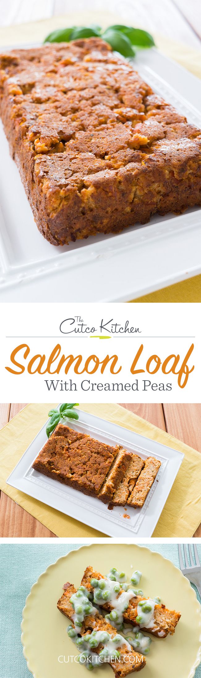 Can salmon loaf recipes Can salmon loaf recipes